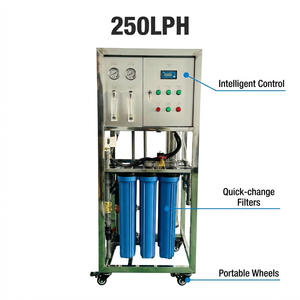 Filtro de Agua de Ósmosis Inversa Comercial Automático de 250 LPH para Inicio de Empresas de Embotellado de Agua Potable - Product Image 4