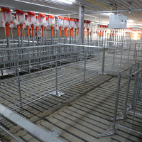 Cage de gestation pour porcs en acier galvanisé à chaud durable, enclos pour porcs avec mangeoire, enclos pour truies, enclos de mise bas pour équipement d'élevage porcin