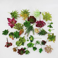 Plantes succulentes artificielles en plastique, Faux Pot de gazon rouge vert pour Bonsai, vente en gros, E07450