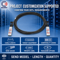 Câble Twinax DAC passif 10G SFP+ compatible KEXINT Cisco SFP-H10GB-CU1M 1m pour connexions de commutateurs de centre de données