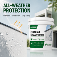 Peinture murale extérieure au latex TC pour façades de bâtiments et rénovation de maisons Couleurs et emballages personnalisés