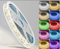 Tira de LED Flexible Monocromática Azul Hielo SMD120D de 12V para Iluminación Ambiental Decorativa de KTV