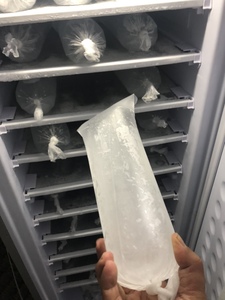 198L AC/DC Hybrid 24V/220V Upright Freezer 11layers/7 <strong>Layers</strong> Commercial Solar Panel Gel Battery Powered Solar Ice Block <strong>Machine</strong> - Product Image 6