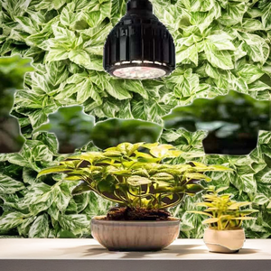 Lampe végétale 30W <span class=keywords><strong>à</strong></span> spectre complet Corps en aluminium avec ampoule verte pour le <span class=keywords><strong>soleil</strong></span> Araceae <span class=keywords><strong>Fleurs</strong></span> Succulent Root Growth Candle Plant Fill Light - Product Image 5