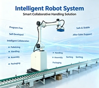 Robot de Paletización sin Necesidad de Programación, Brazo Colaborativo para Paletización de Bolsas de Alimento