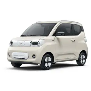 2024 판매 촉진 할인 제품 무료 액세서리 충전기 공급 215km 버전 Wuling 미니 EV 마카롱 전기 자동차