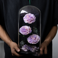 Bunga Mawar Awet Tiga Lapis dalam Kubah Kaca untuk Hadiah Hari Valentine