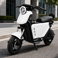 Moto électrique tout-terrain longue portée pour adultes, moteur brushless 1200W, roues de 14 pouces, vitesse maximale 55 km/h, autonomie 140 km, charge utile 200 kg