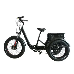 48V 500W 3 колеса с толстыми покрышками электровелосипед e трехколесный велосипед Электрический грузовой велосипед