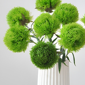 Hfloral Ingrosso <span class=keywords><strong>Fiori</strong></span> Stabilizzati Naturali Dianthus Green Ball 8 pz/scatola Lunga Durata 3-5 Anni Festa della Mamma Laurea - Product Image 6