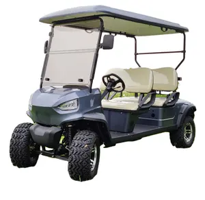 Richbit — caddie de golf électrique 48v, à 4 places, buggy ou voiturette de golf, pour club