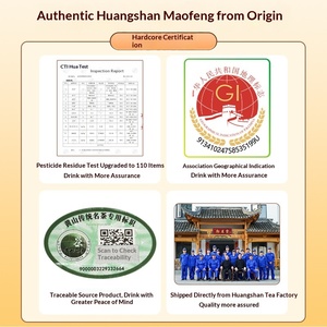 Nouveau <span class=keywords><strong>Thé</strong></span> Vert <span class=keywords><strong>Huangshan</strong></span> <span class=keywords><strong>Maofeng</strong></span> 2026, Grade Spécial Pré-Ming Maojian, Anhui, Durée de Conservation 18 Mois, Sac de 500g, Vente en Gros Usine - Product Image 3