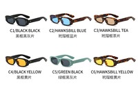 Qsky Europe à la mode riz ongles designer léopard noir cadre bleu lentille lunettes de soleil mode luxe matrice petit cadre lunettes de soleil