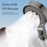 Pommeau de Douche Filtrant Pressurisé pour Chauffe-Eau, Élimination du Chlore, Portable, Économiseur d'Eau, Finition Nickel Moderne, Idéal Hôtels et Appartements