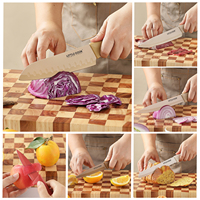 Ensemble de couteaux de cuisine en acier inoxydable Little Cook Logo personnalisable jetable en acier 3Cr13 à haute teneur en carbone Taille de la lame de 8 pouces