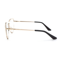 Montures de lunettes œil-de-chat tendance, style informatique, en métal, avec branches torsadées, verres PC, pour adultes, avec étui à lunettes