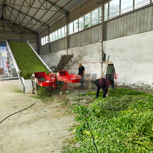 Secador de cinta transportadora de malla con calentamiento uniforme, máquina de deshidratación continua para materia prima herbal de madreselva, menta y crisantemo - Product Image 5