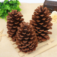 10 Stück DIY Tannenzapfen Weihnachtsbaumschmuck Natürliche Tannenzapfen für Winterpartydekoration
