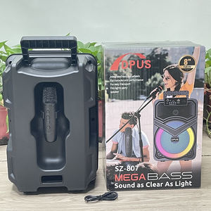 SZ-807 लोकप्रिय हॉट सेल पोर्टेबल आउटडोर 8 इंच सुपर बास वायरलेस कराओके ब्लू-दांत स्पीकर सक्रिय वूफर पार्टी dj स्पीकर - Product Image 6