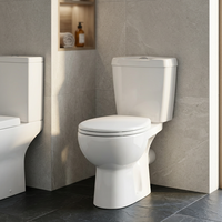 Fabricant et fournisseur indien de toilettes en céramique à deux pièces à bon prix