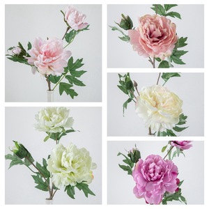 ดอกโบตั๋นประดิษฐ์ CallaFloral สีเขียวอ่อนและสีพีชอ่อน สำหรับตกแต่งงานแต่งงานและตกแต่งบ้าน รุ่น DY1-1911A - Product Image 5