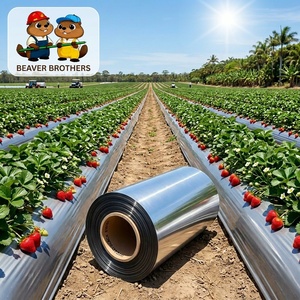 <span class=keywords><strong>Film</strong></span> de paillage agricole noir en PE résistant aux UV, prix usine, pour le contrôle <span class=keywords><strong>des</strong></span> adventices et une récolte plus abondante, provenant de Chine - Product Image 4