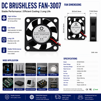 Ventilateur de refroidissement DC sans balais à roulement à billes 30 mm 3007 Mini OEM/ODM pour projecteur de maison intelligente et équipement industriel (12V)