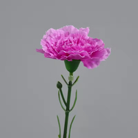 Fleur artificielle en gros, tête unique, œillet rose moyen de 3 pouces pour la décoration de la fête des Mères et de la Saint-Valentin