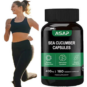 Cápsulas de extracto de pepino de mar de etiqueta privada OEM, suplementos energéticos para adultos, no para mujeres embarazadas - Product Image 2