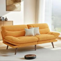Canapé-lit semi-compressé pliable et polyvalent pour petit salon, modèle avec dossier réglable et rangement, expédié en boîte
