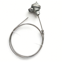 Capteur thermocouple personnalisé, capteur de température industriel pour divers scénarios d'application