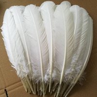 Plumes de dinde rigides de 10-12 pouces, plumes d'aile primaires, véritables plumes d'écriture pour stylos de calligraphie, montage de mouches et artisanat DIY