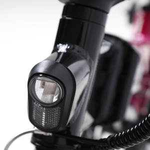 Vélo électrique pliable TXED 36V 250W avec batterie 7.8Ah, roue intégrée, le plus léger, le plus petit, le plus pratique - Product Image 6