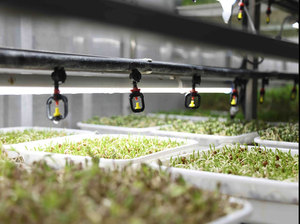 Componentes Centrales PLC con Control Remoto WiFi para Sistemas de Cultivo Hidropónico Comercial en Contenedores para Vegetales de Hoja, Pasto y Microgreens - Product Image 4