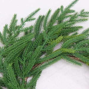Flores secas de <span class=keywords><strong>Araucaria</strong></span> de 51cm de alta calidad, plantas decorativas de China, Navidad, Día de San Valentín, Año Nuevo, otras flores decorativas - Product Image 2