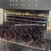 Goede kwaliteit commerciële dehydrator voor fruit en groenten, zonne-droger voor fruit en groenten