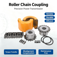 Accouplement de chaîne à rouleaux, haute résistance à l'usure, transmission stable, pièces forgées et trempées, longue durée de vie