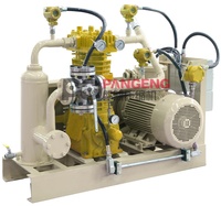 Compresseur statique à piston double rangée, refroidi par air, sans huile, pour transfert de liquide et récupération de vapeur d'ammoniac, 15 kW