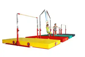 Customized Color Standard Single Bar Gymnastics Ring Gymnastic Equipment For Kids Training