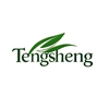 Guangxi Tengsheng Trading Co., Ltd. logo