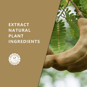 石鹸製造用に精製されていない有機タマリンド種子油-100% 純粋な天然植物エキス、エクスペラープレス | バルク価格1kg - Product Image 2