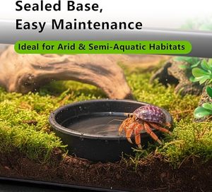 Terrarium Transparent Ventilé Anti-Évasion pour Reptiles et Amphibiens - Enclos d'Élevage et d'Habitat - Product Image 4