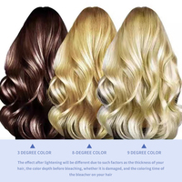 Poudre décolorante rose crème en pot, agent de coloration capillaire permanente pour salon, options de vente en gros et dropshipping pour l'e-commerce