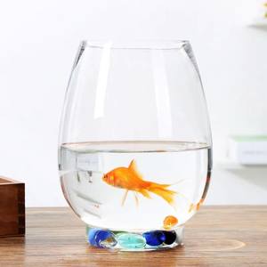 Pianta idroponica ecologica bottiglia di vetro vaso decorazione micro paesaggio drago uovo acquario ufficio soggiorno ornamenti - Product Image 2