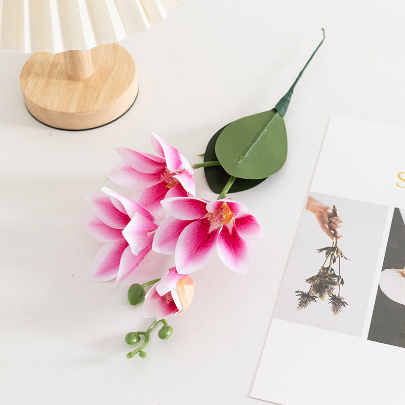 สีชมพูเข้ม