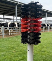 Brosse de nettoyage et de massage pour bétail, équipement d'élevage pour vaches laitières, porcs et moutons