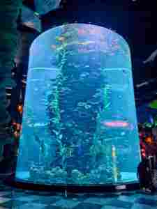 Aangepaste Hoge Kwaliteit Dik Laag Ijzer Extra Heldere Veiligheid Gehard Glas Aquarium - Product Image 4