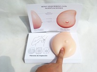 Modelo de Seno de Silicona Patológica para Ciencias Médicas, Producto de Grado Alimenticio, Modelo 3D para Prácticas de Examen de Senos, CE/ISO