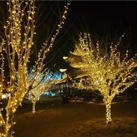 Guirlande lumineuse LED féerique pour la Saint-Valentin, les mariages, les fêtes, la décoration extérieure, étanche IP67, 10M/30M/100M, à intensité variable, CRI 90 élevé