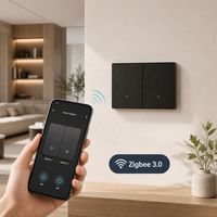 Interrupteur mural intelligent Tuya Smart Life ZigBee 3.0 118 2 Gang 1 Voie US avec panneau à boutons PC et commande vocale